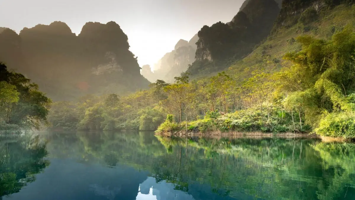 科技高端